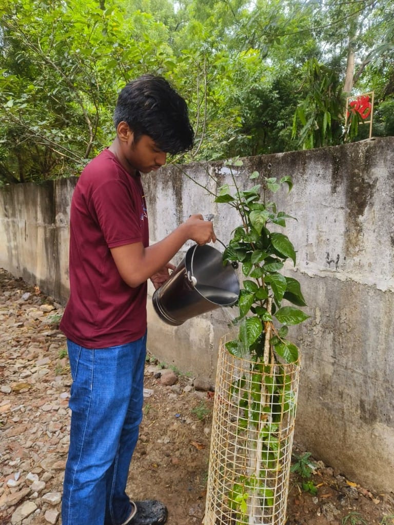 Volunteer watering a young sapling during temple seva at Shree Rudhreshwar Mahadev & Rudra Hanuman Temple