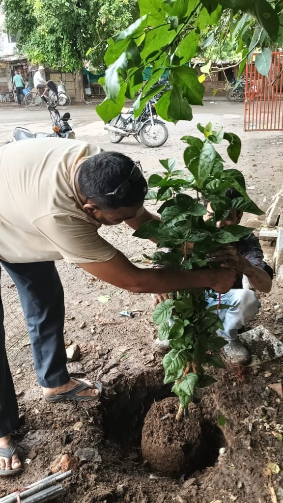 Tree Plantation program