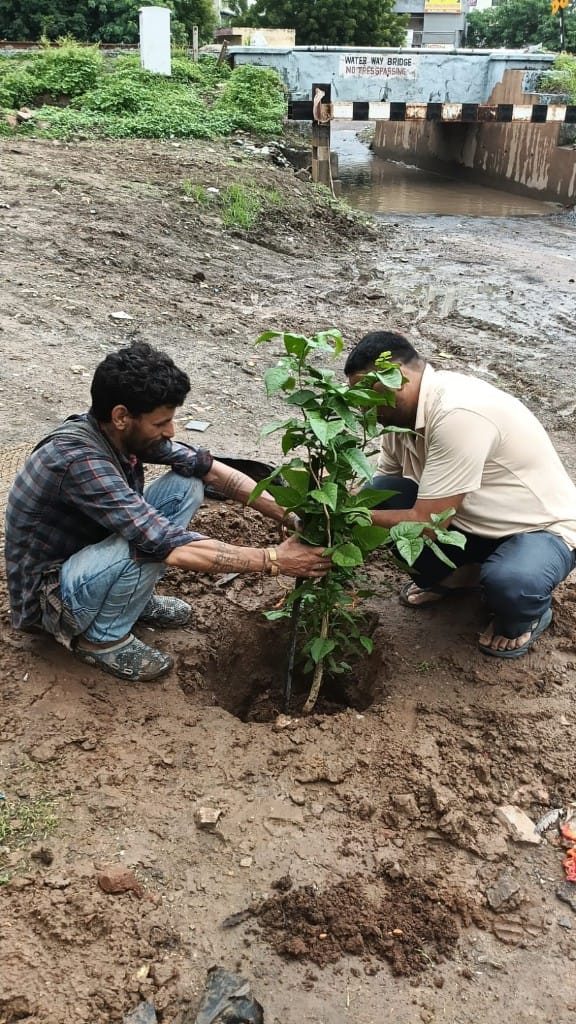 Community members placing a sapling into the ground